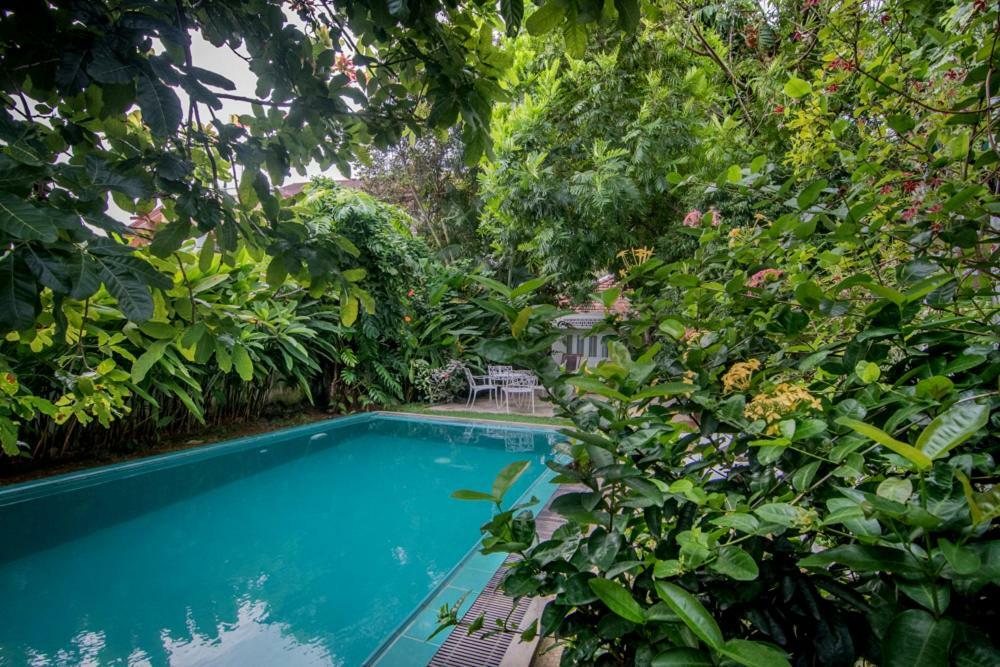 Cozynest Villa Galle Buitenkant foto